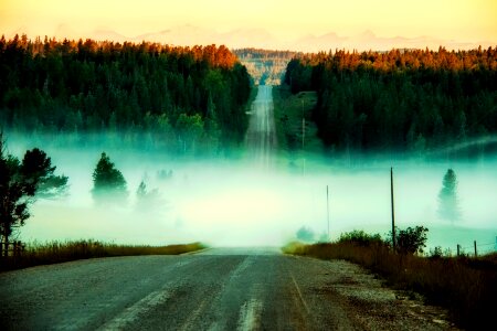 Fog road valley photo