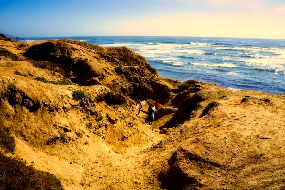 Pacific nature outdoors