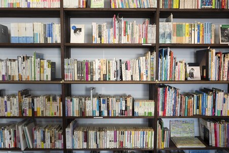 Library shelf author photo