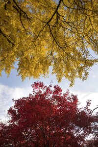 Clouds sky autumn photo