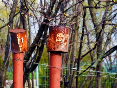 Wood flame outdoors