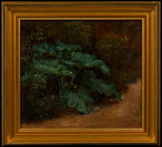 Johan Christian Dahl - Plantain. Study - NM 7429 - Nationalmuseum