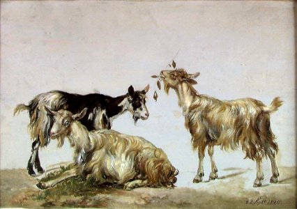 Johan Christian Dahl - Study of three Goats - NG.M.01025 - National Museum of Art, Architecture and Design photo