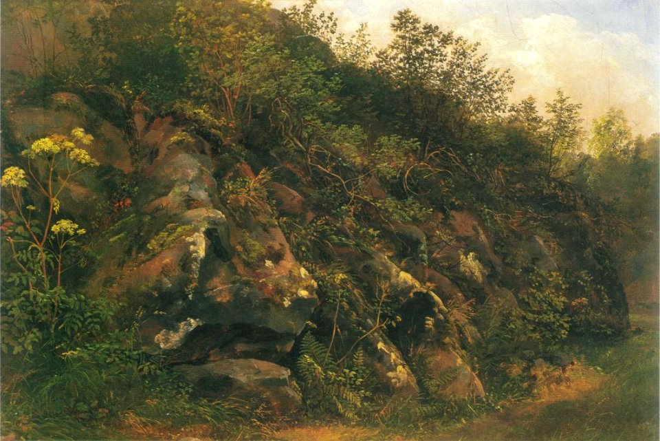 Plauenscher Grund, naturstudie 1819