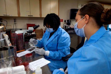 Daily Operations in the Microbiology Lab Aboard USNS Comfort (49826877442)