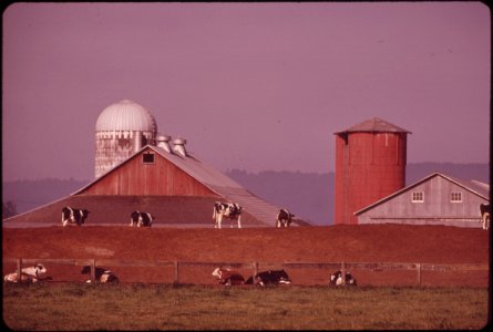 Dairy-farm-on-the-banks-of-the-columbia-river-in-clark-county-051973 4272328112 o