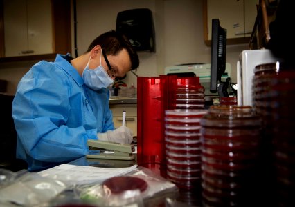Daily Operations in the Microbiology Lab Aboard USNS Comfort (49826560791)