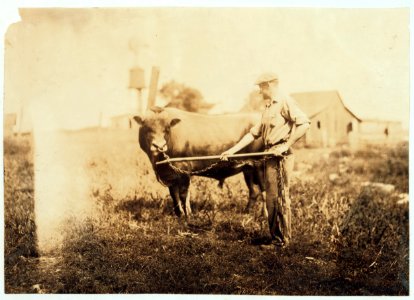 Dairyman. LOC nclc.05118