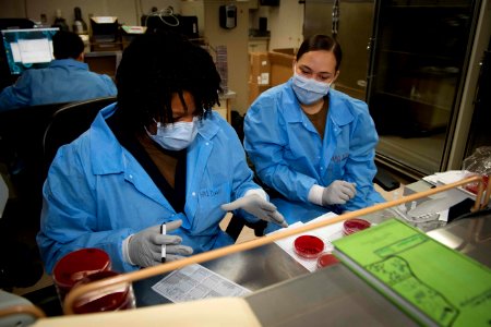 Daily Operations in the Microbiology Lab Aboard USNS Comfort (49826877277)