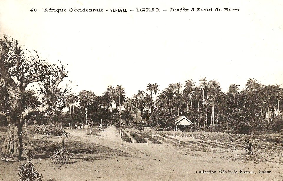 Dakar-Jardin d'essai de Hann (AOF) (2)