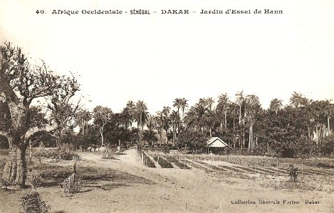 Dakar-Jardin d'essai de Hann (AOF) (2)
