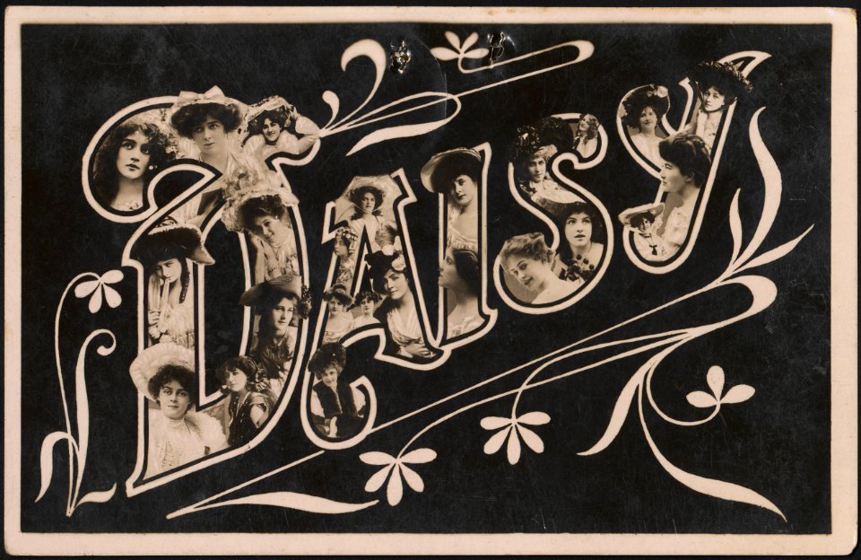 Daisy postcard Pc005559