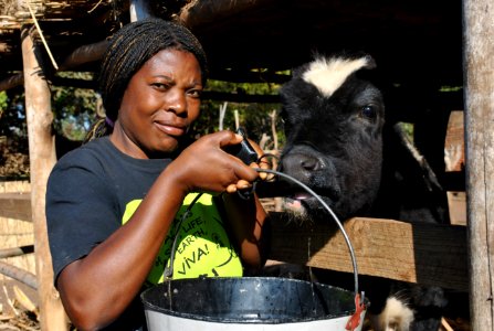 Dairy farmer (8329327101)