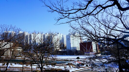 Seoul ewha womans university snow