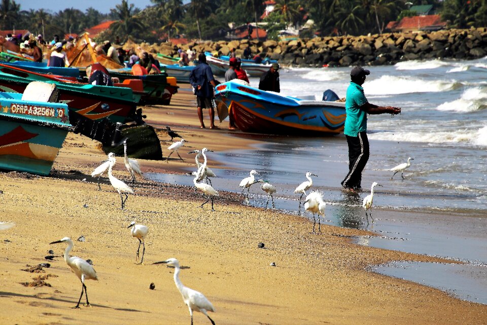 A fishing village the waves beach