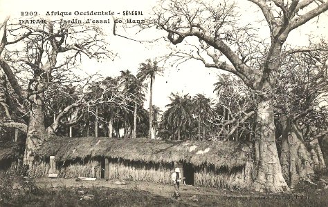 Dakar-Jardin d'essai de Hann (AOF)