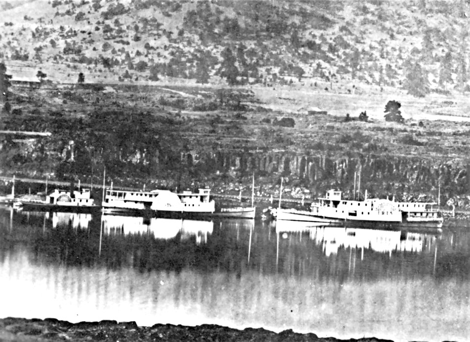 Dalles, Idaho and Iris at The Dalles 1863
