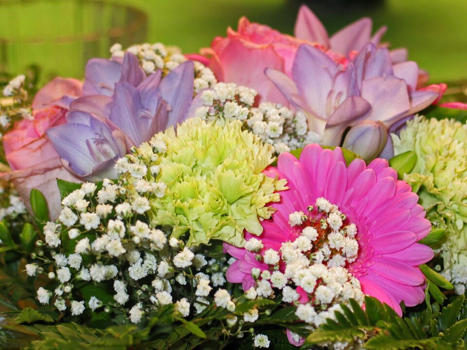 Roses pink vase photo