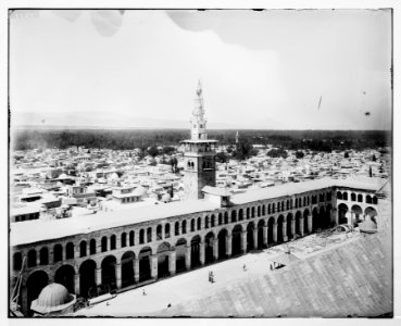 Damascus (Esh-Sham). Damascus and the mosque LOC matpc.07068