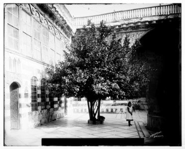 Damascus (Esh-Sham). Court of a Damascus home LOC matpc.07052