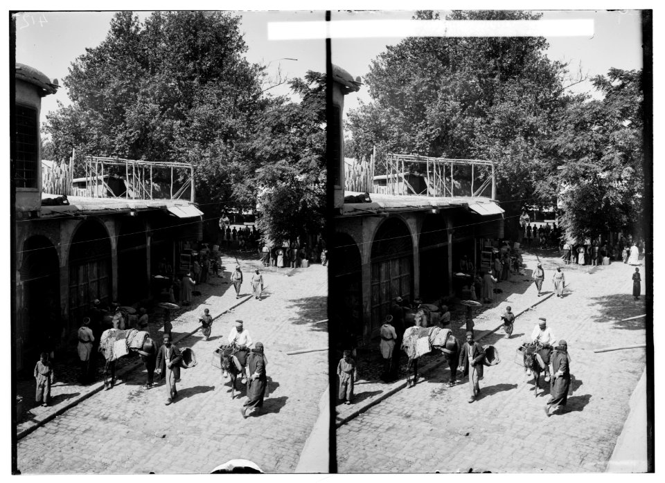 Damascus (Esh-Sham). Hangman's tree LOC matpc.01144