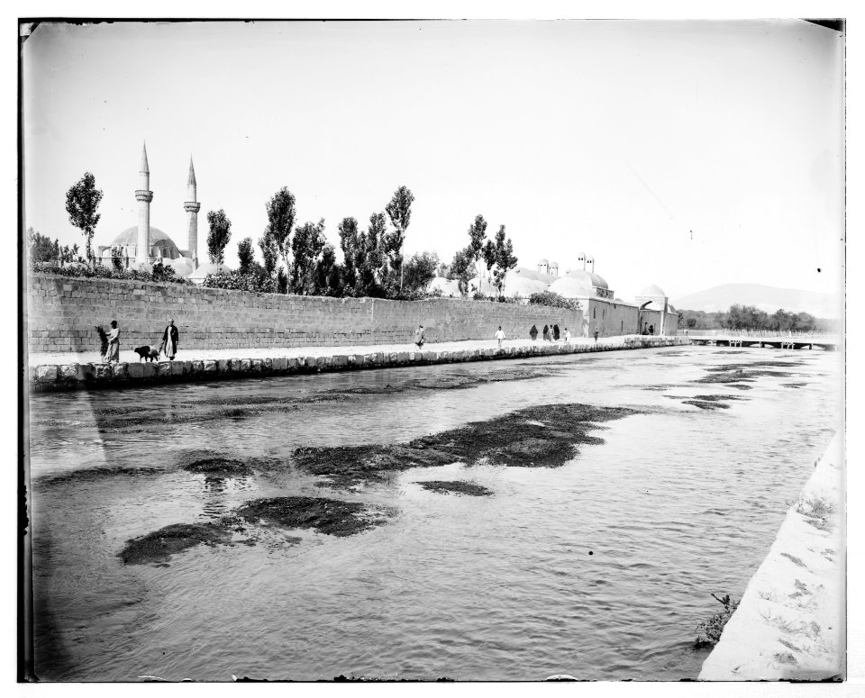 Damascus (Esh-Sham). River Abana LOC matpc.07057