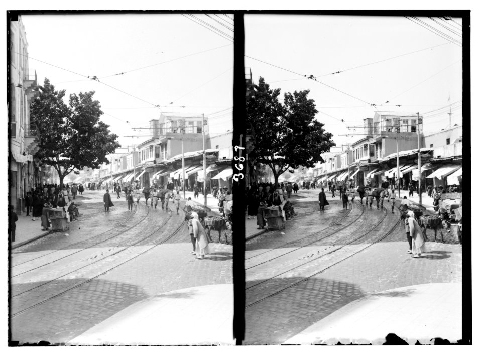 Damascus and environs. Damascus. El Meidan. The 'pan-handle' street of Damascus LOC matpc.02863