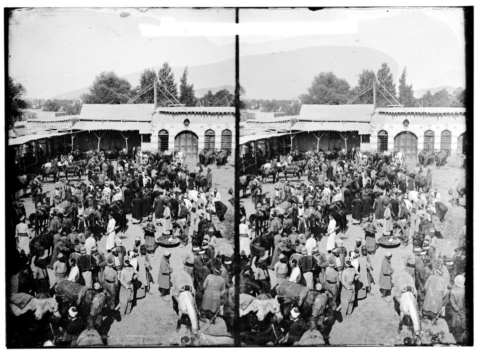 Damascus (Esh-Sham). The horse market LOC matpc.01157