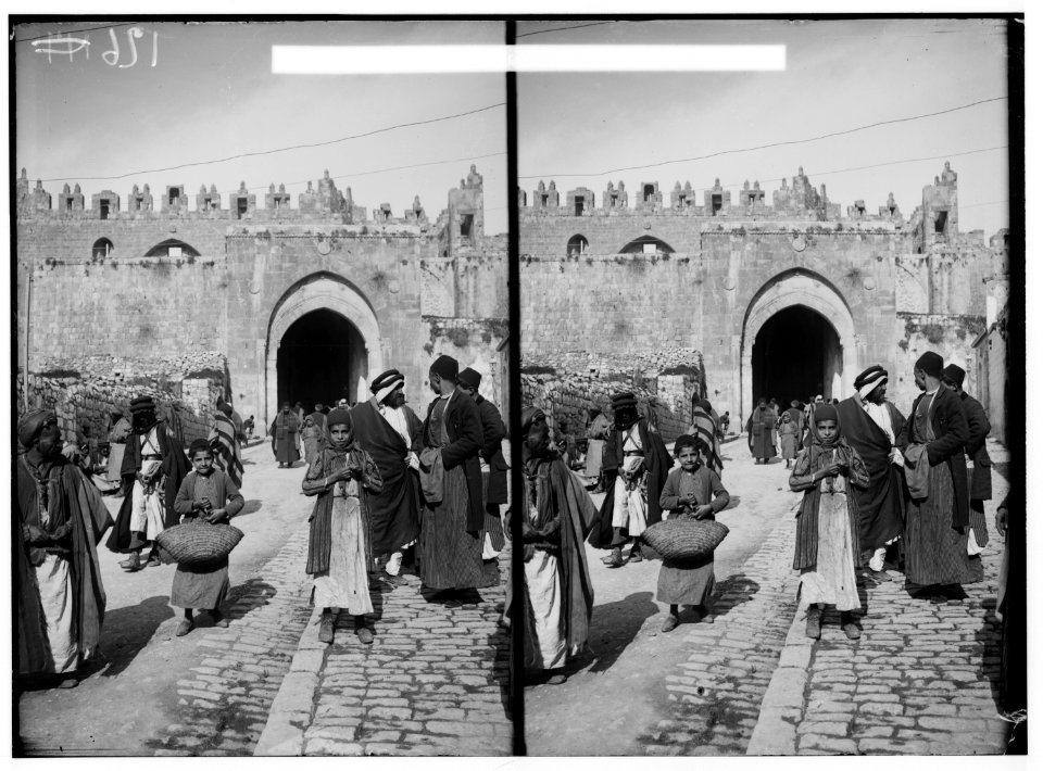 Damascus Gate and environs. Damascus Gate from the south LOC matpc.00915