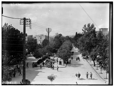 Damascus and environs. Damascus. The main boulevard LOC matpc.00228