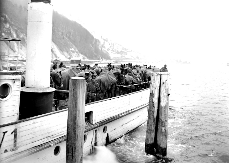 Dampfer des Vierwaldstättersees - CH-BAR - 3240376