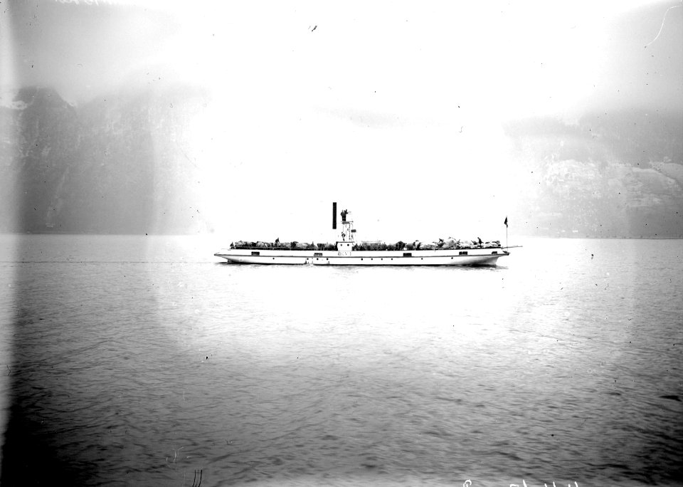 Dampfer des Vierwaldstättersees - CH-BAR - 3240381