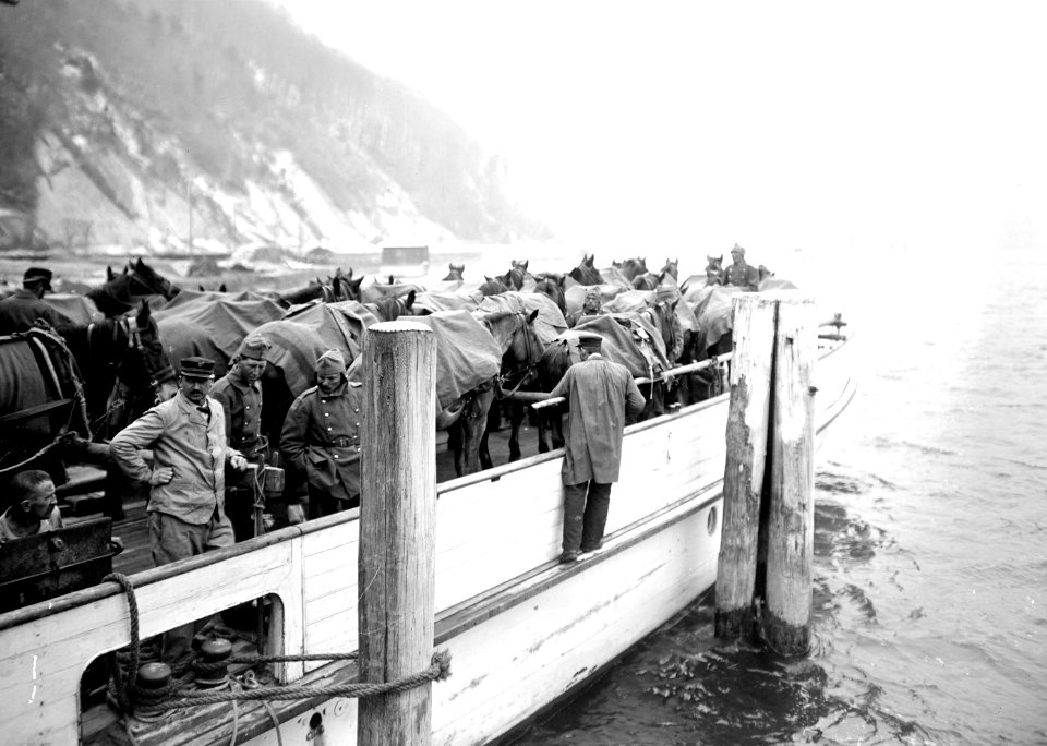 Dampfer des Vierwaldstättersees - CH-BAR - 3240377