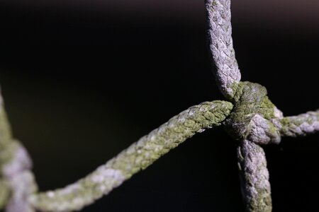 Knot detail twisted photo