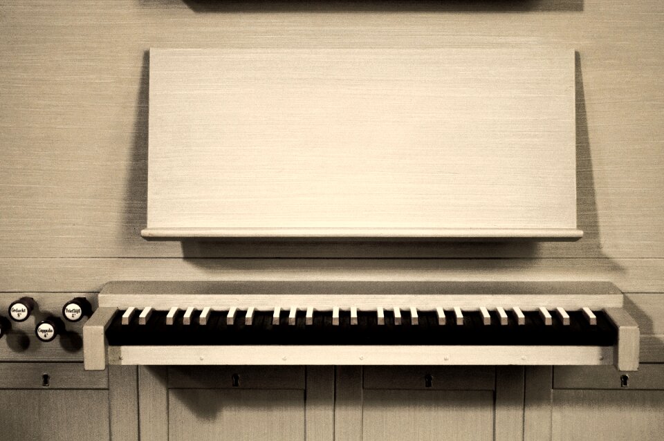 Ebony instrument ivory