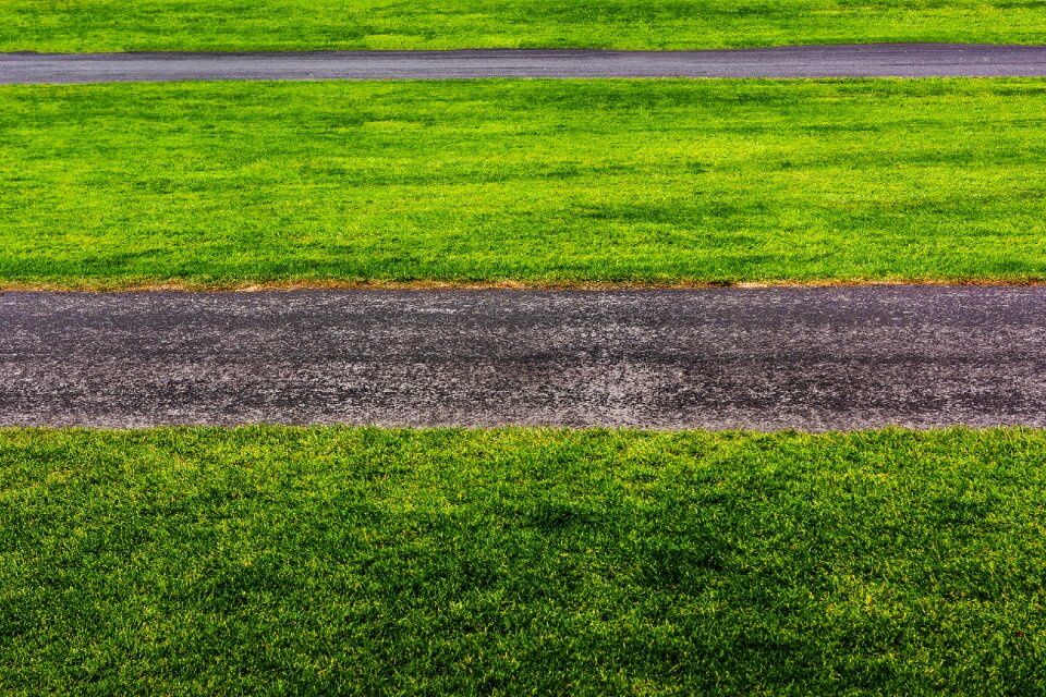 Minimal summer lawn