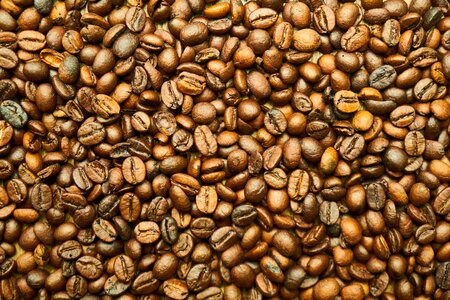 Morning brown wake
