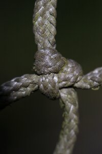 Knot detail twisted photo
