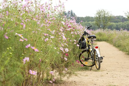 Bike gil travel