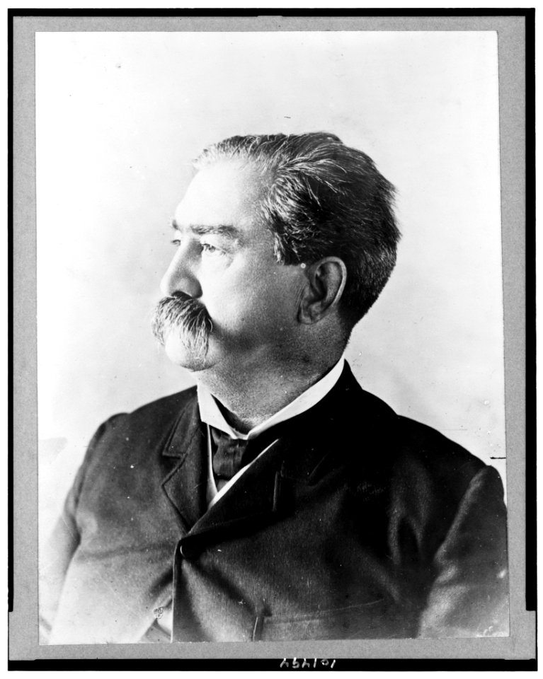 Daniel Voorhees, senator from Indiana, head-and-shoulders portrait, facing left LCCN90712384