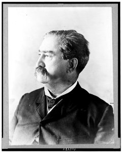 Daniel Voorhees, senator from Indiana, head-and-shoulders portrait, facing left LCCN90712384