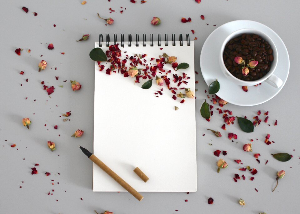 Book notes write down