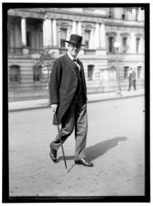 DANIELS, JOSEPHUS. SECRETARY OF THE NAVY, 1913-1921 LCCN2016865300