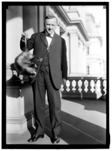 DANIELS, JOSEPHUS. SECRETARY OF THE NAVY, 1913-1921 LCCN2016865058