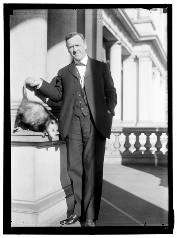 DANIELS, JOSEPHUS. SECRETARY OF THE NAVY, 1913-1921. WITH AN OPOSSUM LCCN2016865057