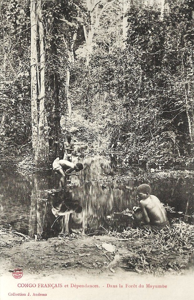 Dans la forêt du Mayombe-Congo Français et Dépendances (1)