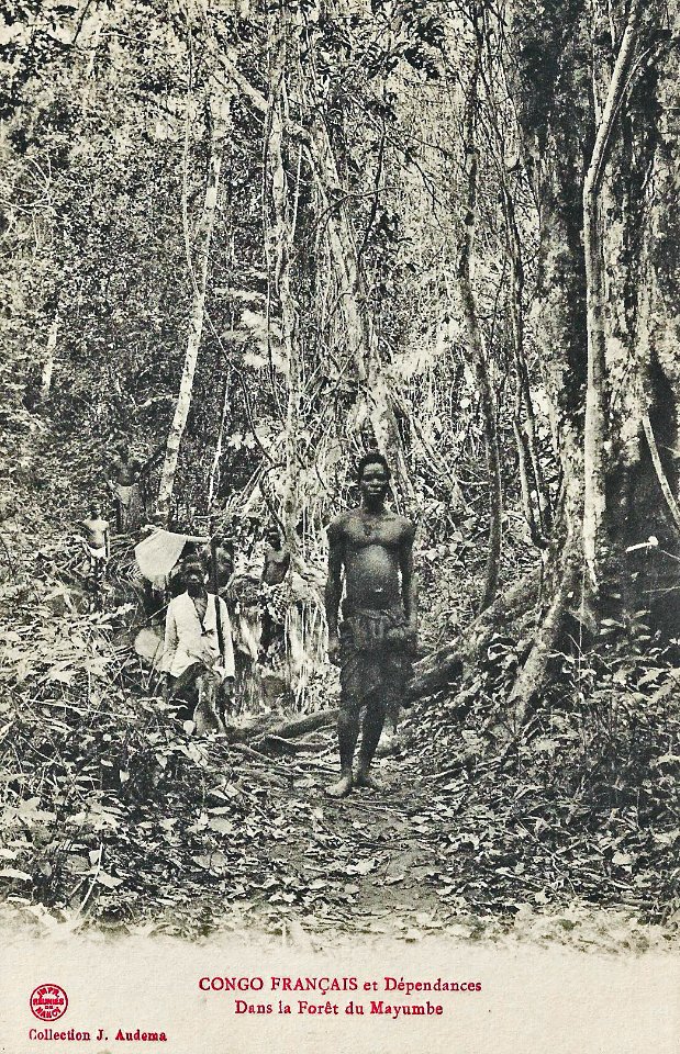 Dans la forêt du Mayombe-Congo Français et Dépendances (2)