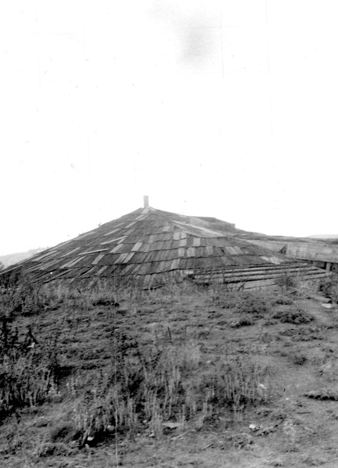 Danshus. Kalifornien. USA - SMVK - 004540