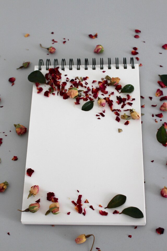 Write book notes