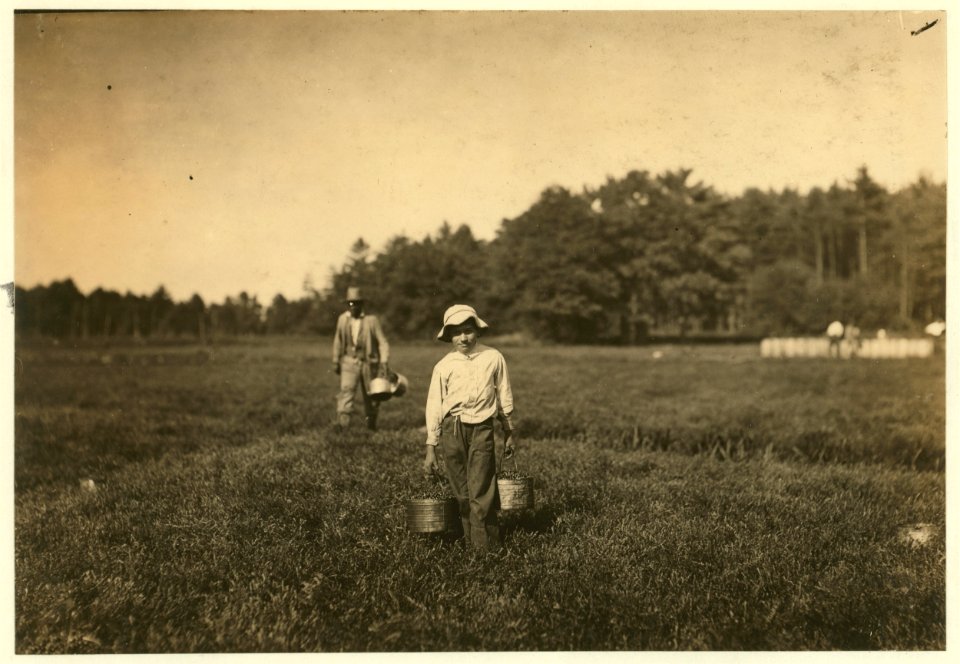 Dante Fava. Said 10 years old. Carries and picks cranberries. Lives in Pierceville, Mass. LOC cph.3b39347